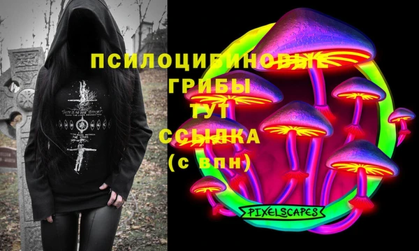 a pvp Кукмор