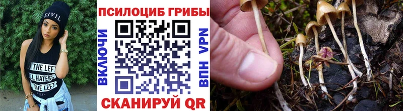 blacksprut как войти  Эртиль  Псилоцибиновые грибы MAGIC MUSHROOMS 